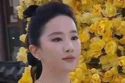 Lùm xùm ảnh thật của 'thần tiên tỷ tỷ' Lưu Diệc Phi: Thực hư ra sao?