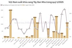 Những mặt hàng xuất khẩu lớn nhất sang Tây Ban Nha