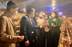 Hội LHPN tỉnh Hưng Yên giám sát việc thực hiện Luật An toàn thực phẩm