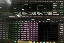 VN-Index tăng đứng với 355 mã 'tím trần'