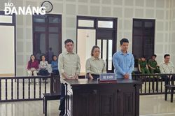 Tuyên án nhóm bị cáo 'Tổ chức cho người khác xuất cảnh trái phép'