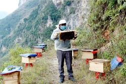 Không chỉ vượt khó giảm nghèo, nông dân Mèo Vạc đang làm giàu với những mô hình bạc tỷ