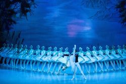 Huyền thoại ballet Nga mang vở diễn kinh điển 'Hồ thiên nga' đến Hà Nội