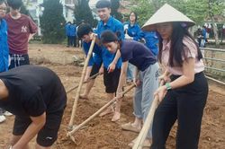 Cô và trò sôi nổi với hoạt động 'chuyển đổi xanh' trong trường học