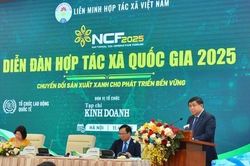 Phó Thủ tướng: Hợp tác xã cần 'khai phá' thị trường quốc tế