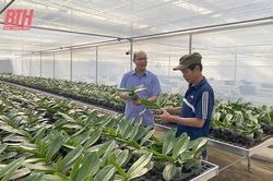 Góp phần đưa phong trào kinh tế tập thể phát triển bền vững