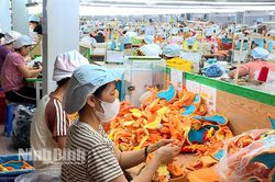 Đẩy mạnh kết nối 'cung'- 'cầu' lao động