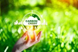 Hoàn thiện thể chế để vận hành, phát triển thị trường carbon