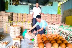 Thúc đẩy phong trào nông dân thi đua sản xuất, kinh doanh giỏi
