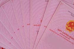 Các trường hợp không được cấp Giấy chứng nhận quyền sử dụng đất