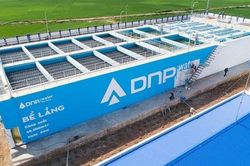 Vi phạm môi trường, Công ty DNP Holding bị phạt hơn 300 triệu đồng