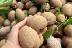 4 nhóm người thèm hồng xiêm đến mấy cũng không nên ăn