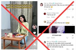 Mai Ly giễu nhại chế tài, Chu Thanh Huyền cảnh cáo 'sân si' - pháp luật đang bị 'bỡn cợt'?