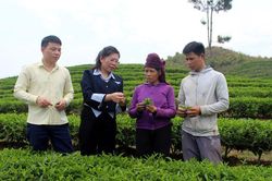 Phát huy vai trò lãnh đạo của cán bộ người dân tộc thiểu số