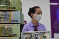 Tỷ giá USD hôm nay 21/4/2025: Giảm nhẹ tại thị trường tự do