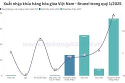 Thương mại Việt Nam - Brunei tăng gần 21% trong quý 1/2025