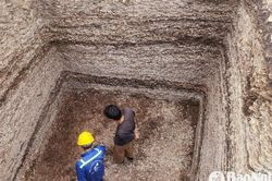 Nghệ An: Phát hiện nhiều di cốt người xưa tại di chỉ khảo cổ Quỳnh Văn