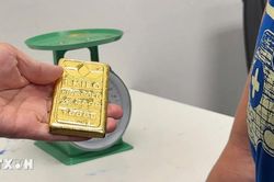 Hải quan phát hiện bắt giữ một số vụ buôn lậu, vận chuyển vàng, ma túy trái phép