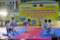 Giao lưu võ thuật Việt Nam - Triều Tiên chào mừng 75 năm thiết lập quan hệ ngoại giao