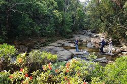 Không được đem thức ăn đến điểm tham quan, tuyến đi bộ khi tham quan Vườn quốc gia Bạch Mã