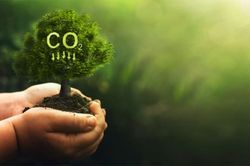 Thị trường carbon không thể phát triển đơn độc mà đòi hỏi sự hợp tác xuyên biên giới