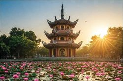 Sen nở giữa tử sinh