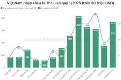 Việt Nam nhập siêu hơn 1 tỷ USD từ Thái Lan trong quý 1/2025
