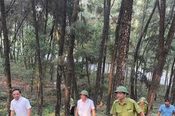 Nghệ An tăng cường kiểm tra công tác phòng cháy, chữa cháy rừng