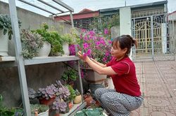 'Sống chậm' giữa thời đại công nghệ số