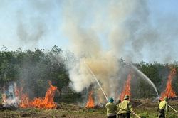 Chủ động phòng chống cháy rừng
