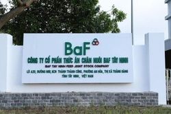 Tham vọng 10 triệu con heo đưa lợi nhuận BAF 'bay xa'