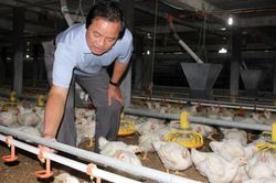 'Dệt lưới an sinh', xóa vết nghèo bằng sức mạnh HTX