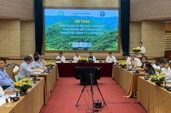 Gỡ 'nút thắt' giao khoán đất lâm nghiệp