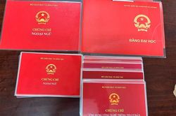 Khởi tố 2 giáo viên mua bằng giả để đưa vào hồ sơ xét tuyển, thi tuyển