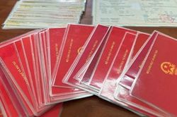 Bắc Giang: 15 giáo viên mua bằng, chứng chỉ giả để thi tuyển