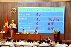 Quảng Ngãi thông qua Nghị quyết về sắp xếp đơn vị hành chính cấp tỉnh, cấp xã