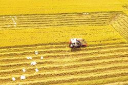 50 năm phát triển vượt bậc của ngành nông nghiệp Việt Nam