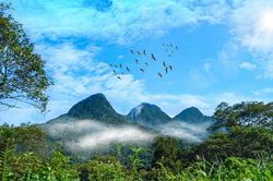 Thúc đẩy thành lập sàn giao dịch tín chỉ carbon