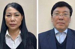 Cựu Bí thư Vĩnh Phúc nộp 20 tỷ, đề nghị sử dụng hai lô đất 34 tỷ đồng khắc phục hậu quả