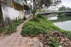 Cần để mắt giữ gìn sông An Cựu