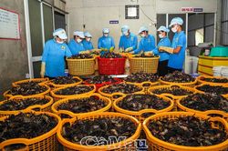 Làm mới, gia tăng giá trị nghề truyền thống