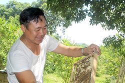 Khát vọng làm giàu ở làng của những cựu binh Nghệ An