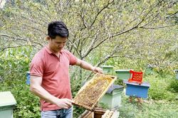 HTX 'tiếp sức' đồng bào dân tộc thiểu số nhờ cú hích công nghệ