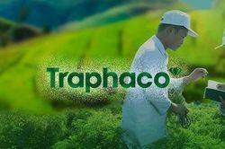 Lãi Traphaco (TRA) giảm 23% quý đầu năm do giá vốn tăng cao