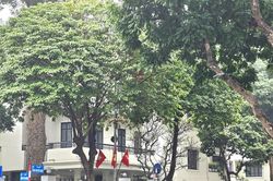 Hà Nội chi hàng nghìn tỷ đồng chỉnh trang bờ Đông hồ Gươm và xây cầu Trần Hưng Đạo
