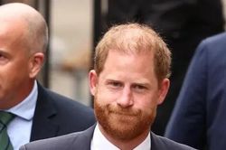 Sự cay đắng của Harry
