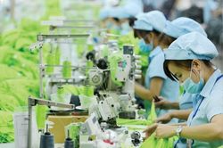 Quý 1 khởi sắc với dệt may Việt trước thời điểm Mỹ siết thuế
