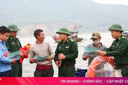 Hà Tĩnh siết chặt quản lý tàu cá, quyết tâm gỡ 'thẻ vàng' IUU