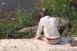 CLIP: Say rượu, người đàn ông ngồi tâm sự với cá sấu nhưng cái kết mới 'thót tim'