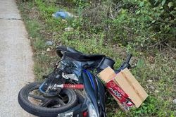 Xác định hung thủ sát hại cô giáo trẻ bên lề đường tại Gia Lai